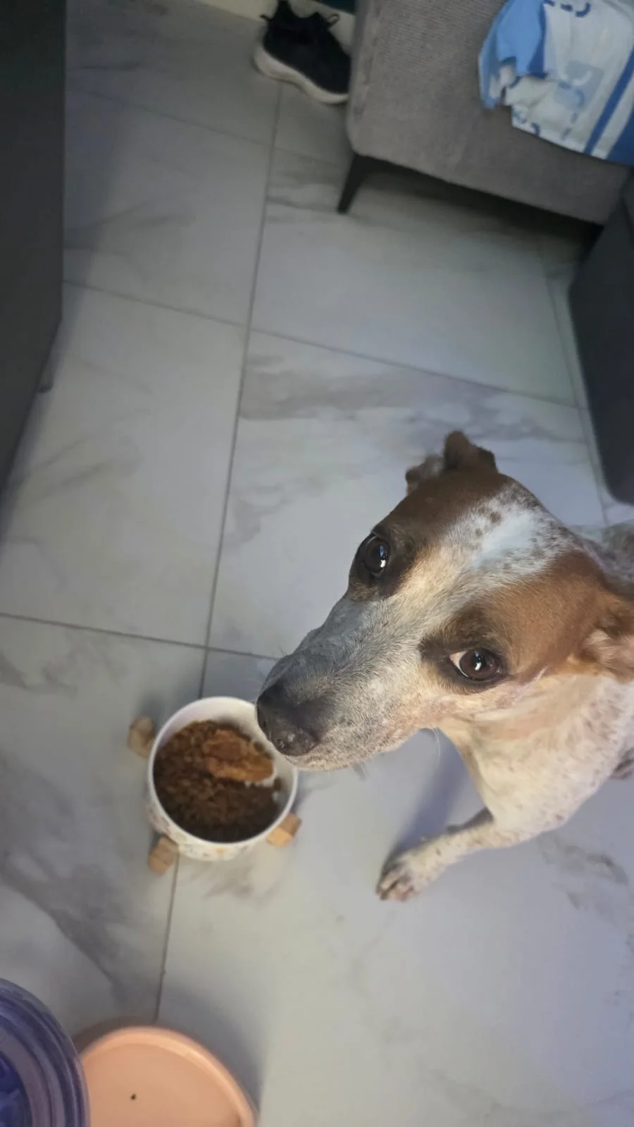 Jolette junto a su plato de comida