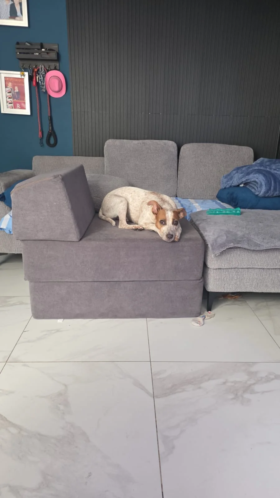 Jolette recostada sobre un sillón