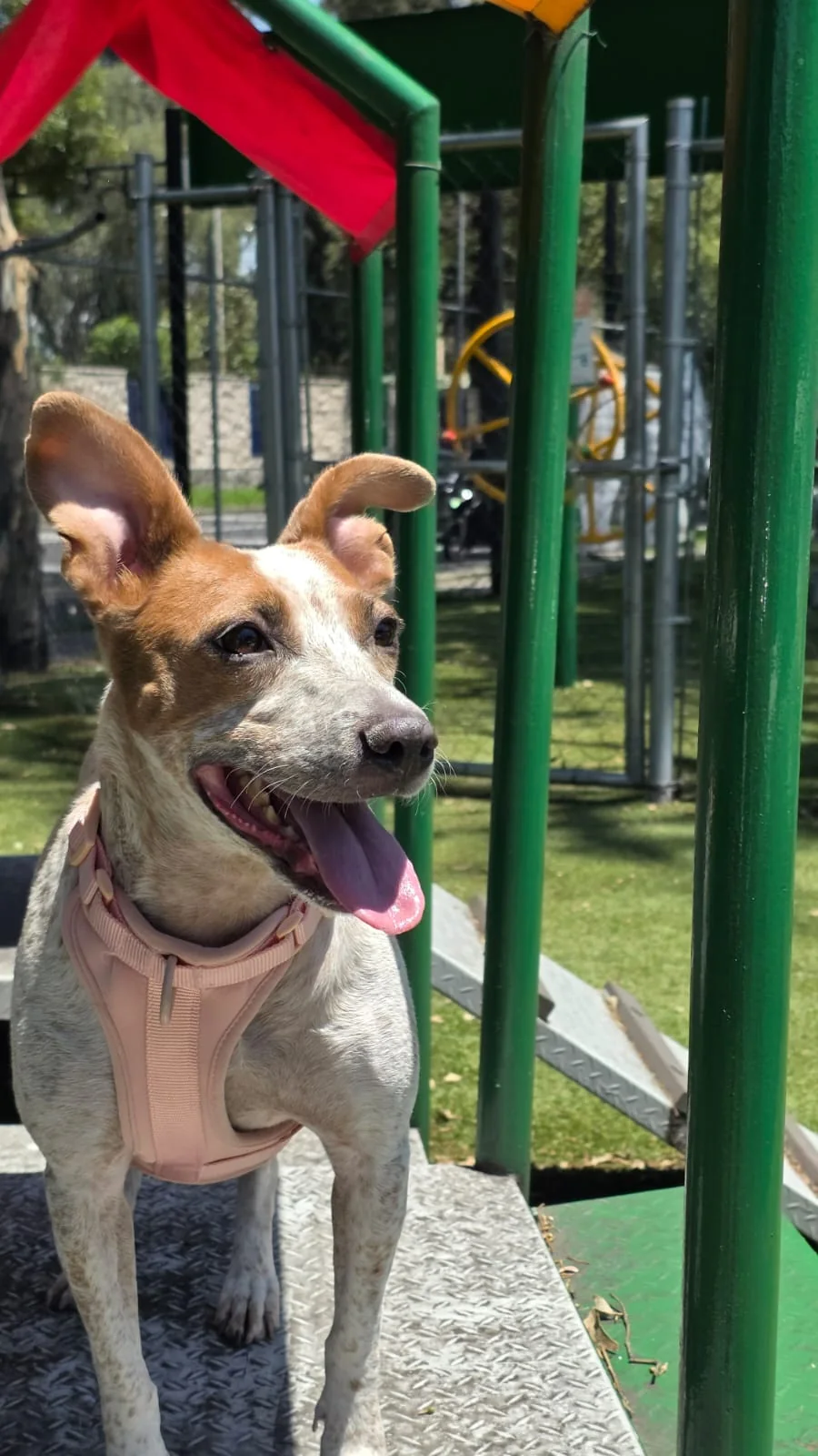 Jolette feliz durante su visita al parque