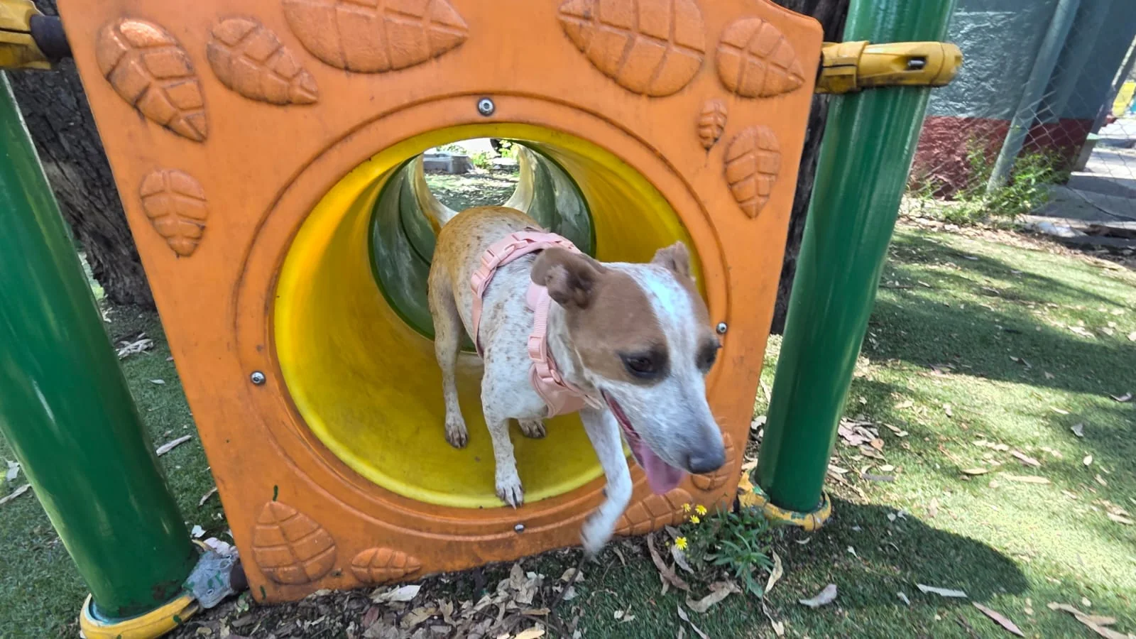 Jolette saliendo de un túnel de juegos